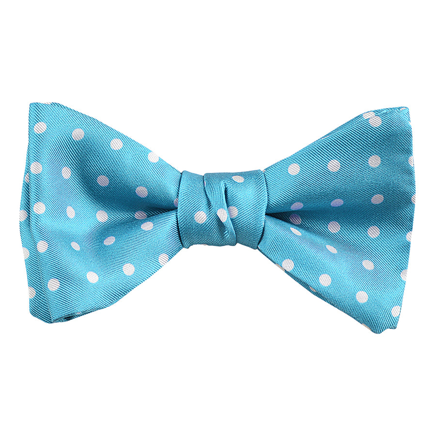 DION NECKWEAR L60010 PRE-TIED BOWTIE (POLKADOT)