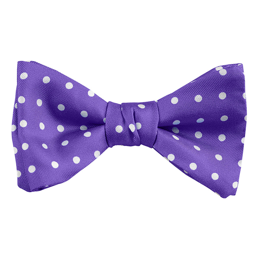 DION NECKWEAR L60010 PRE-TIED BOWTIE (POLKADOT)