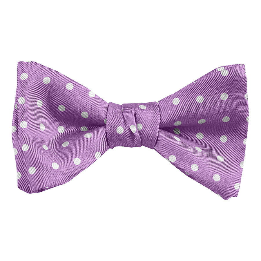 DION NECKWEAR L60010 PRE-TIED BOWTIE (POLKADOT)