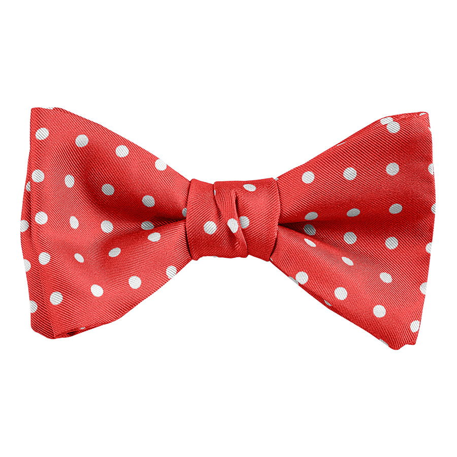 DION NECKWEAR L60010 PRE-TIED BOWTIE (POLKADOT)