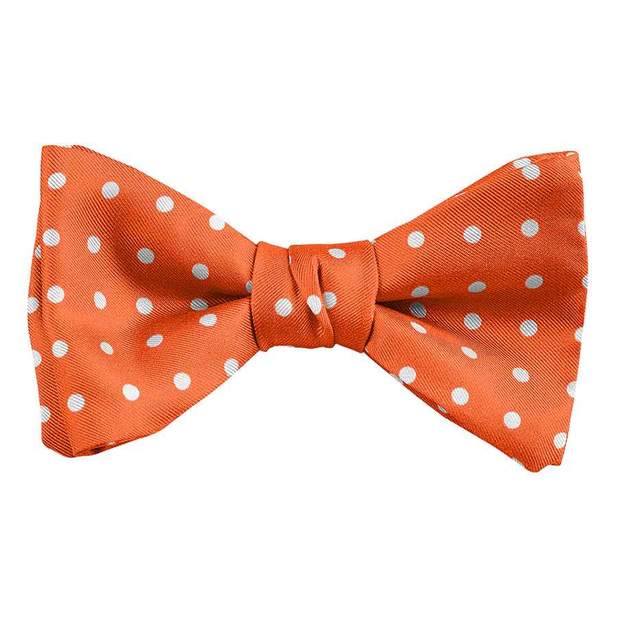DION NECKWEAR L60010 PRE-TIED BOWTIE (POLKADOT)