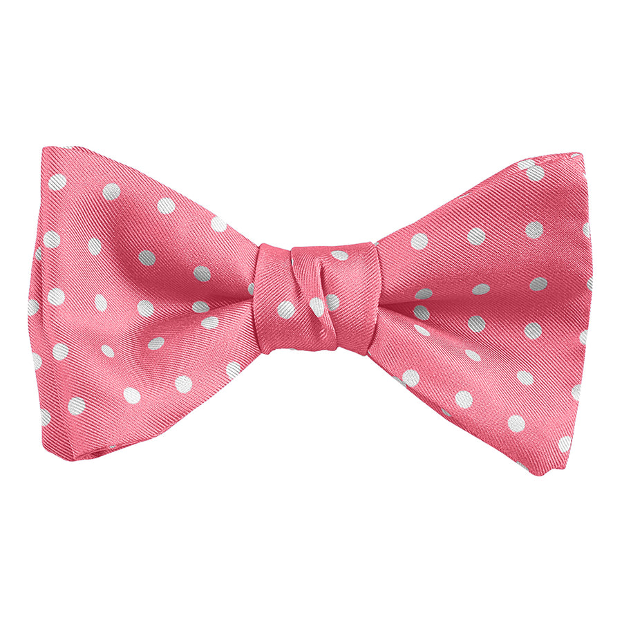 DION NECKWEAR L60010 PRE-TIED BOWTIE (POLKADOT)