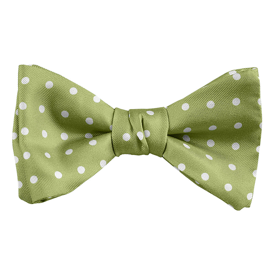DION NECKWEAR L60010 PRE-TIED BOWTIE (POLKADOT)