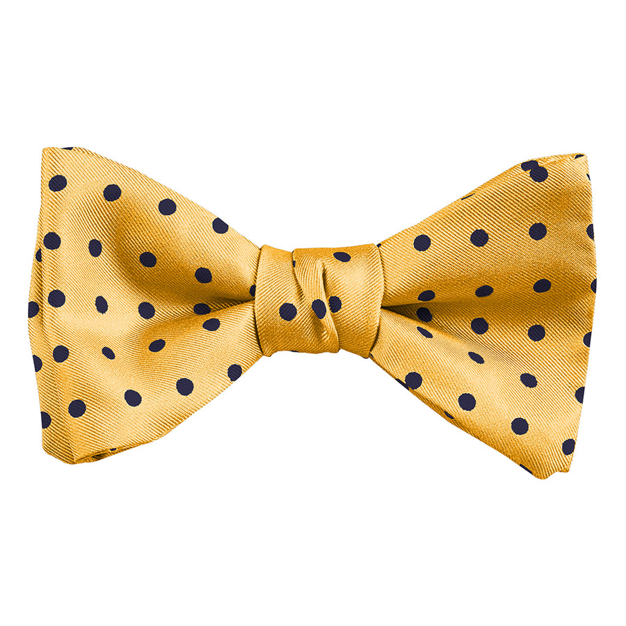 DION NECKWEAR L60010 PRE-TIED BOWTIE (POLKADOT)