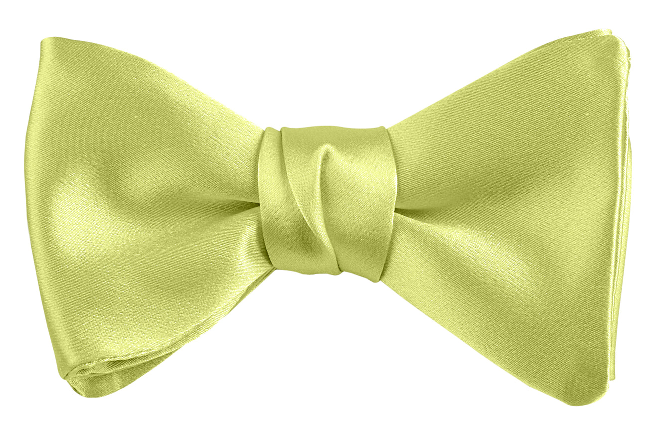 DION NECKWEAR V30030 PRE-TIED BOWTIE (SATIN)