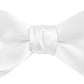 DION NECKWEAR PRE-TIED BOWTIE (SILK)