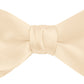 DION NECKWEAR PRE-TIED BOWTIE (SILK)
