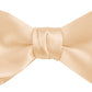 DION NECKWEAR PRE-TIED BOWTIE (SILK)