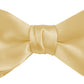 DION NECKWEAR PRE-TIED BOWTIE (SILK)