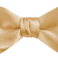 DION NECKWEAR PRE-TIED BOWTIE (SILK)