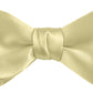 DION NECKWEAR PRE-TIED BOWTIE (SILK)