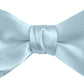 DION NECKWEAR PRE-TIED BOWTIE (SILK)