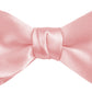 DION NECKWEAR PRE-TIED BOWTIE (SILK)