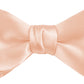 DION NECKWEAR PRE-TIED BOWTIE (SILK)