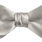 DION NECKWEAR PRE-TIED BOWTIE (SILK)