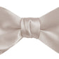 DION NECKWEAR PRE-TIED BOWTIE (SILK)