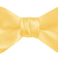 DION NECKWEAR PRE-TIED BOWTIE (SILK)