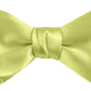 DION NECKWEAR PRE-TIED BOWTIE (SILK)