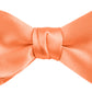 DION NECKWEAR PRE-TIED BOWTIE (SILK)