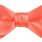 DION NECKWEAR PRE-TIED BOWTIE (SILK)