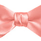 DION NECKWEAR PRE-TIED BOWTIE (SILK)