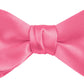 DION NECKWEAR PRE-TIED BOWTIE (SILK)
