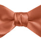 DION NECKWEAR PRE-TIED BOWTIE (SILK)