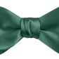 DION NECKWEAR PRE-TIED BOWTIE (SILK)