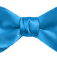 DION NECKWEAR PRE-TIED BOWTIE (SILK)