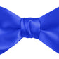 DION NECKWEAR PRE-TIED BOWTIE (SILK)