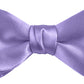 DION NECKWEAR PRE-TIED BOWTIE (SILK)