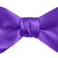 DION NECKWEAR PRE-TIED BOWTIE (SILK)
