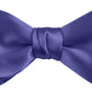 DION NECKWEAR PRE-TIED BOWTIE (SILK)